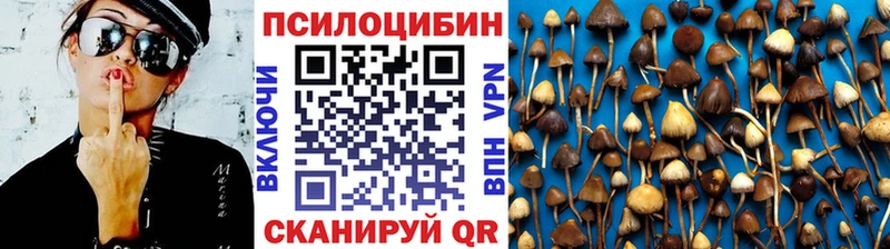 Галлюциногенные грибы мухоморы  Купить где  Краснослободск 